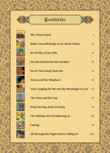 Rumi (Volume 2) - Sufi Comics